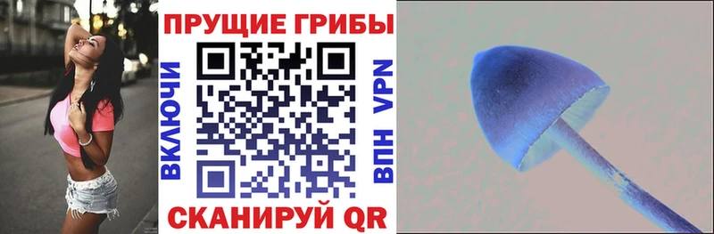 Галлюциногенные грибы мухоморы  Купить закладки  Унеча 
